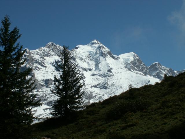 die Jungfrau