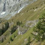 am Hang des Ellstabhorn führt der Weg weiter