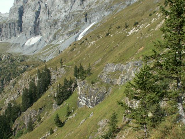 am Hang des Ellstabhorn führt der Weg weiter