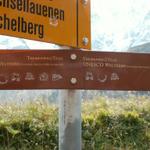 auf dem Themenweg UNESO Weltnaturerbe Jungfrau-Aletsch-Bietschhorn