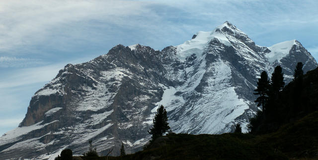 das Jungfraumassiv