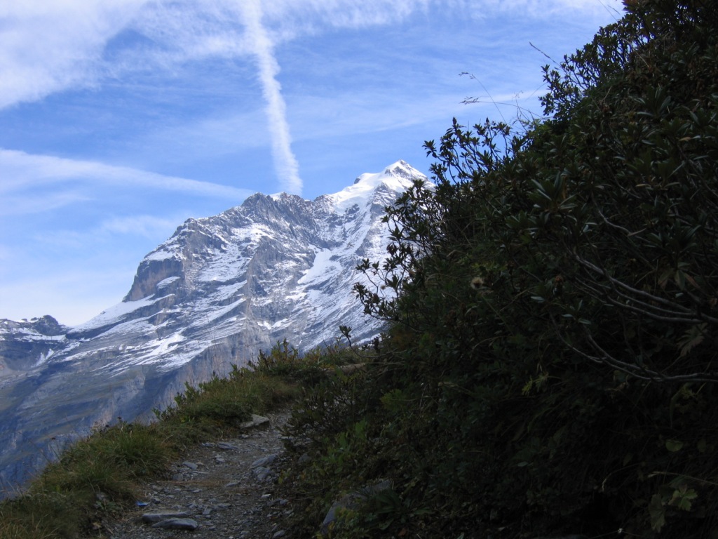 was für ein Ausblick