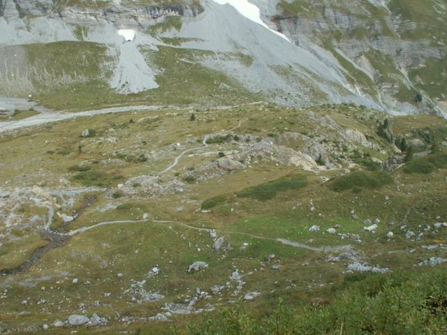 Blick runter nach Schafläger