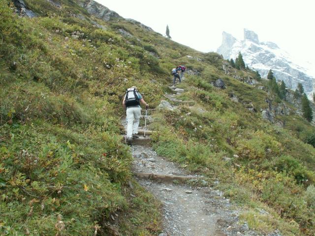 das letzte Stück vor dem Oberhornsee