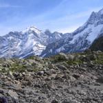das Jungfraumassiv vom Oberhornsee aus gesehen