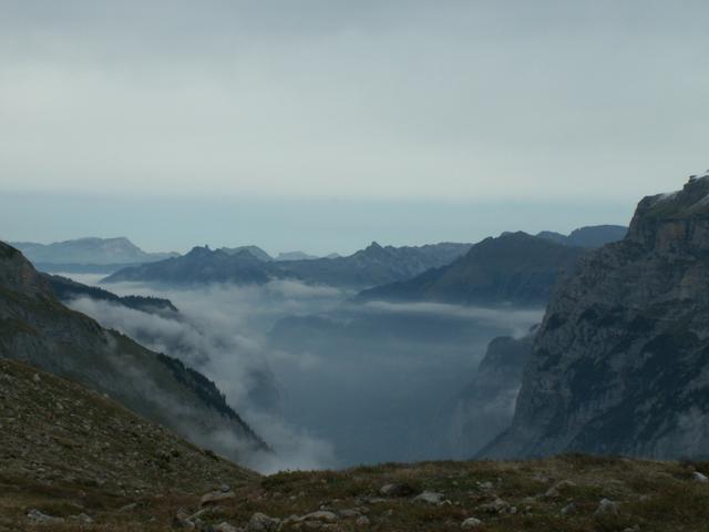 der Nebel lichtet sich