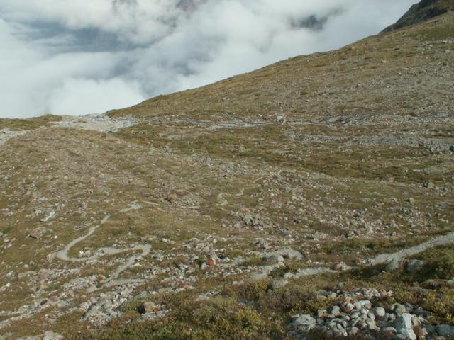 der Weg führt nun alles runter nach Trachsellauenen