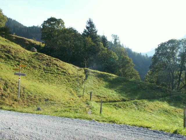 hier verliessen wir die Strasse