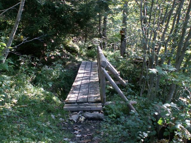 schöner Waldweg