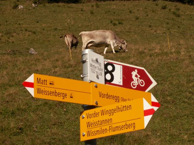 nun geht es Richtung Weisstannen