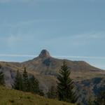 der Spitzmeilen