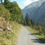 leider alles auf Asphaltstrasse bis Weisstannen