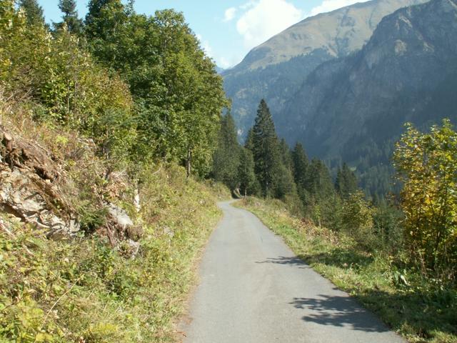 leider alles auf Asphaltstrasse bis Weisstannen