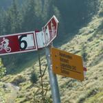 wir nehmen nicht die Seilbahn, sondern laufen