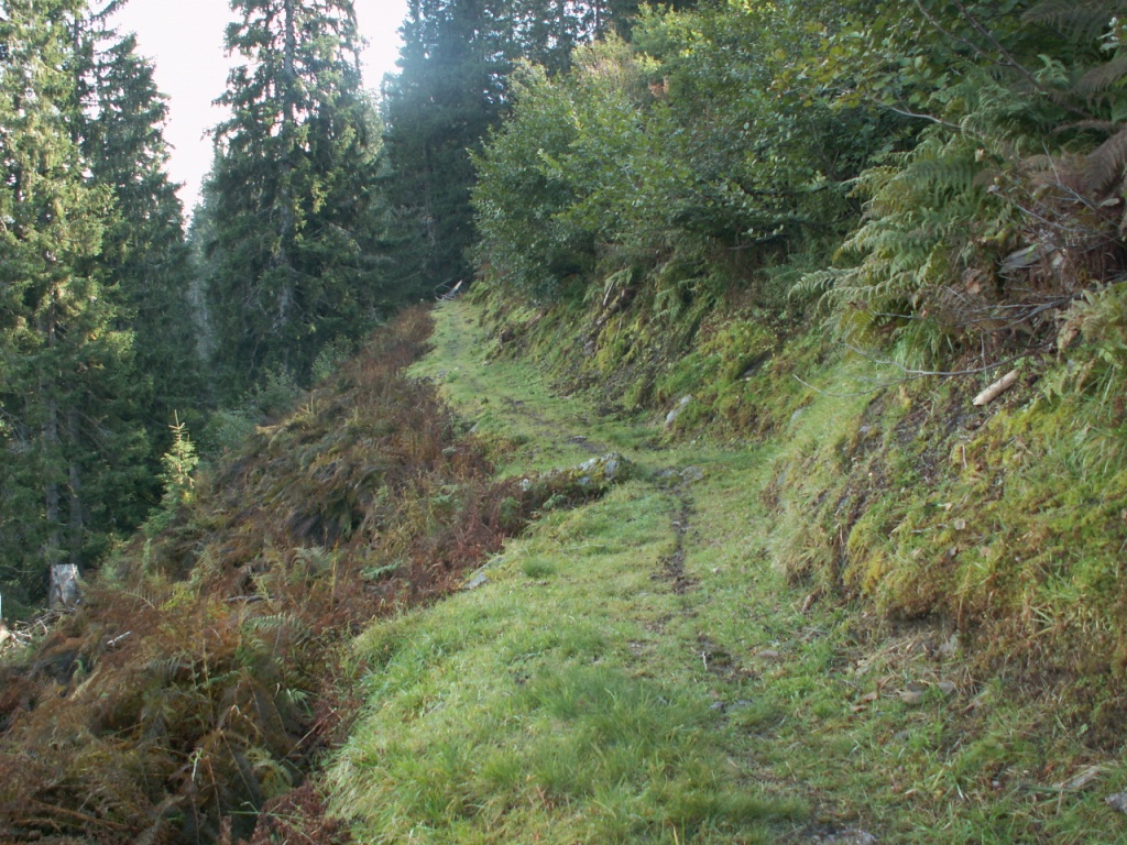 ein wirklich schöner