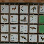 Wildinformationstafel