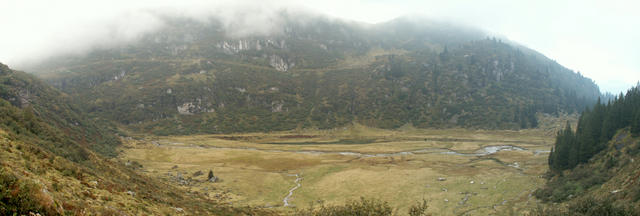 Breitbildfoto der Alp Nideren