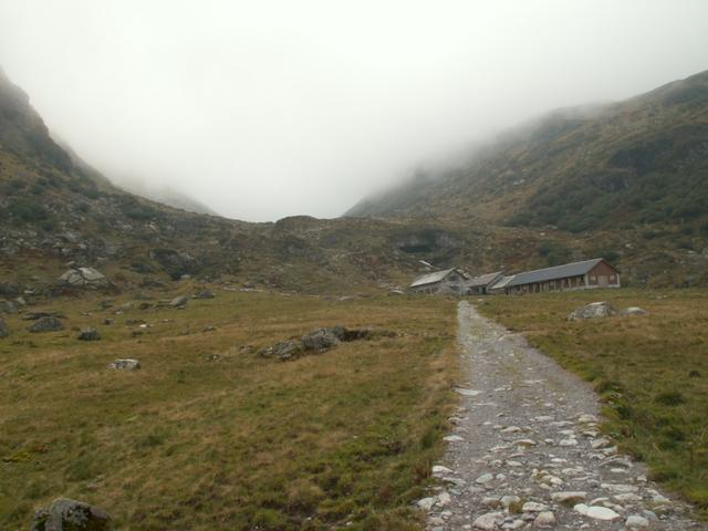 bei Ober Staffel 1788 m.ü.M.