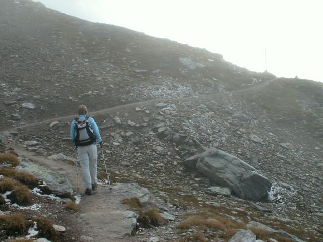 Mäusi auf dem Weg kurz vor der Leglerhütte