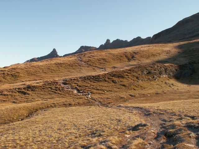 auf Alp Hinter Matt