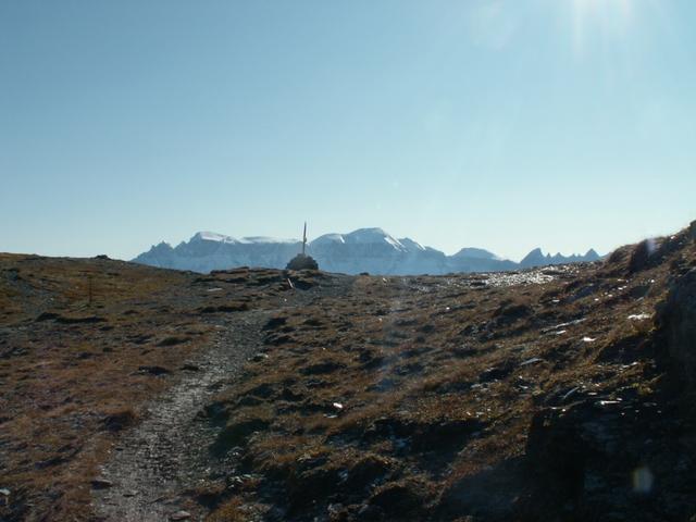 wir haben den Wildmadfurggeli 2292 m.ü.M. erreicht