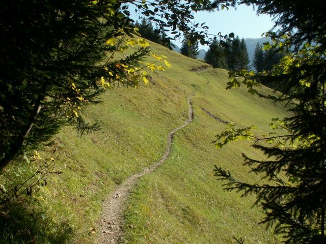 ein schöner Höhenweg