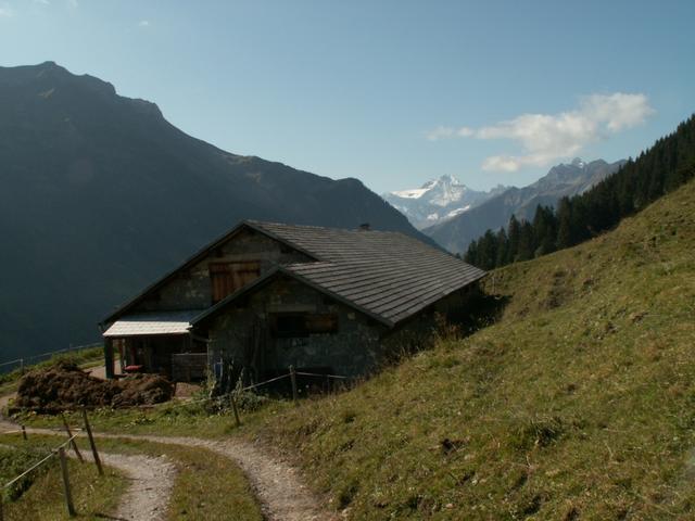 bei Unter Staffel 1511 m.ü.M.