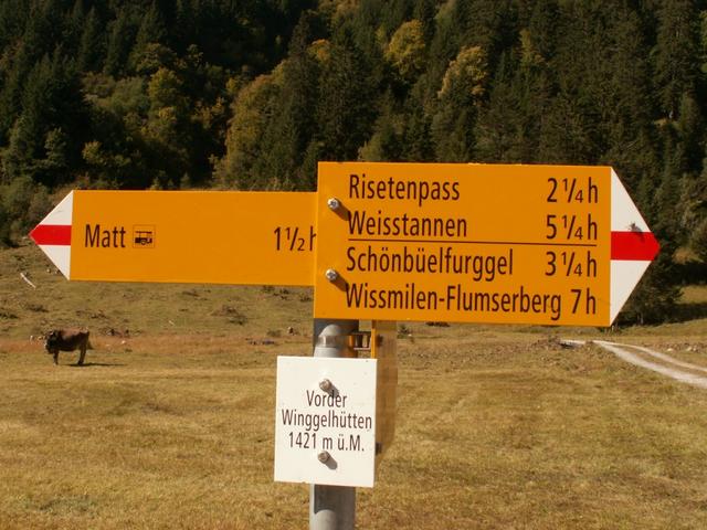 bei den Winggelhütten 1421 m.ü.M.