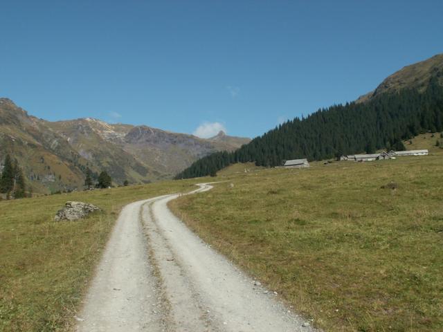 bei den Hinter Winggelhütten. Zuhinterst der Spitzmeilen