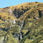Wasserfall vom Chrauchbach