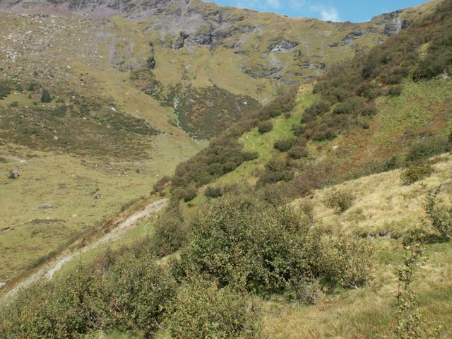 falscher Weg eingeschlagen. der richtige Weg ist links vom Bach