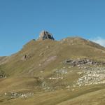 der Spitzmeilen zeigt sich wieder