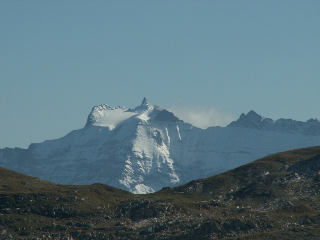 der Ringelspitz