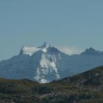 der Ringelspitz