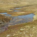 mäandrierende Bäche