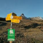 Wegweiser vor der Spitzmeilenhütte