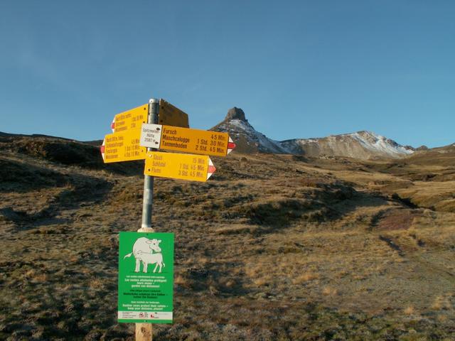 Wegweiser vor der Spitzmeilenhütte