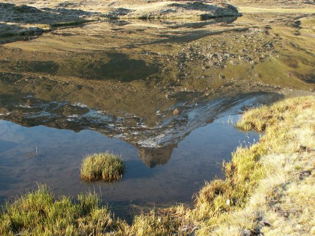 Spiegelungen auf dem Madseeli