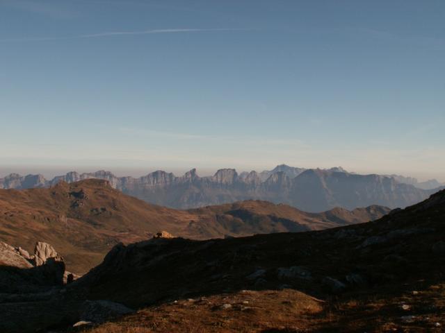 Blick zu den Churfirsten