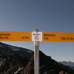 Wegweiser auf dem Wissmilenpass 2417m.ü.M.