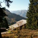 kurz vor der Skihütte Mülibach