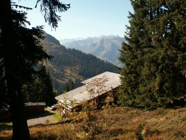 kurz vor der Skihütte Mülibach