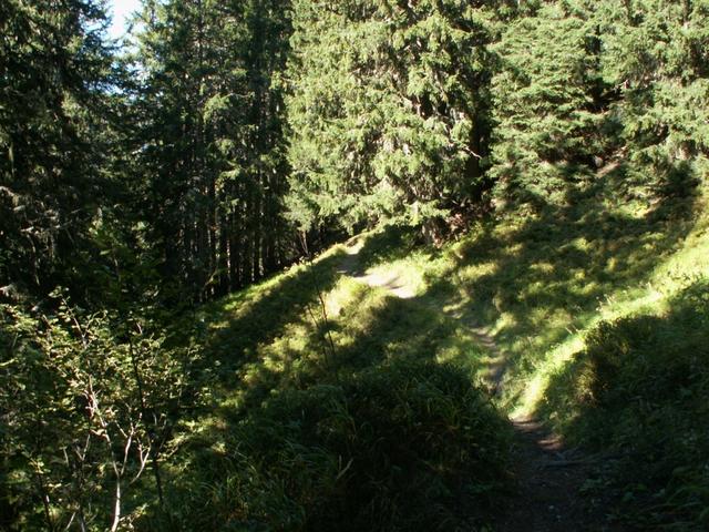 und wandern auf gleicher Höhe weiter Richtung Innerbergli