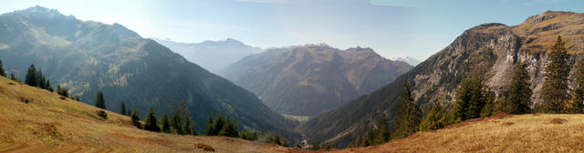 Breitbildfoto bei Innerbergli 1785 m.ü.M.