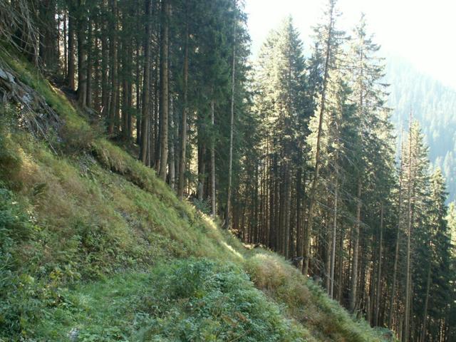 immer schön gemütlich runter ins Mülibachtal