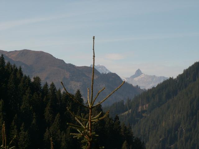 Blick Richtung Bös Fulen