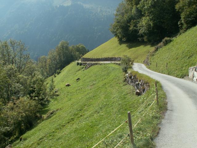 nun geht es runter nach Engi