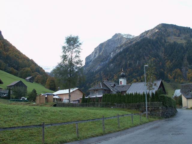 Weisstannen 1004 m.ü.M.