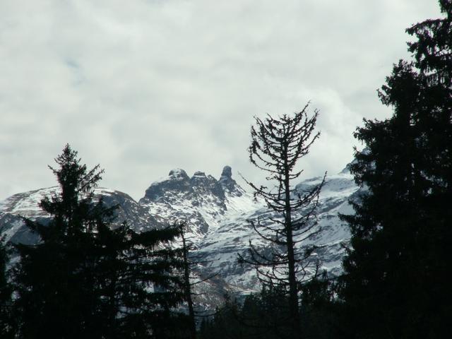 Blick Richtung Pizol