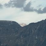 Nideripass mit Säntis im Hintergrund